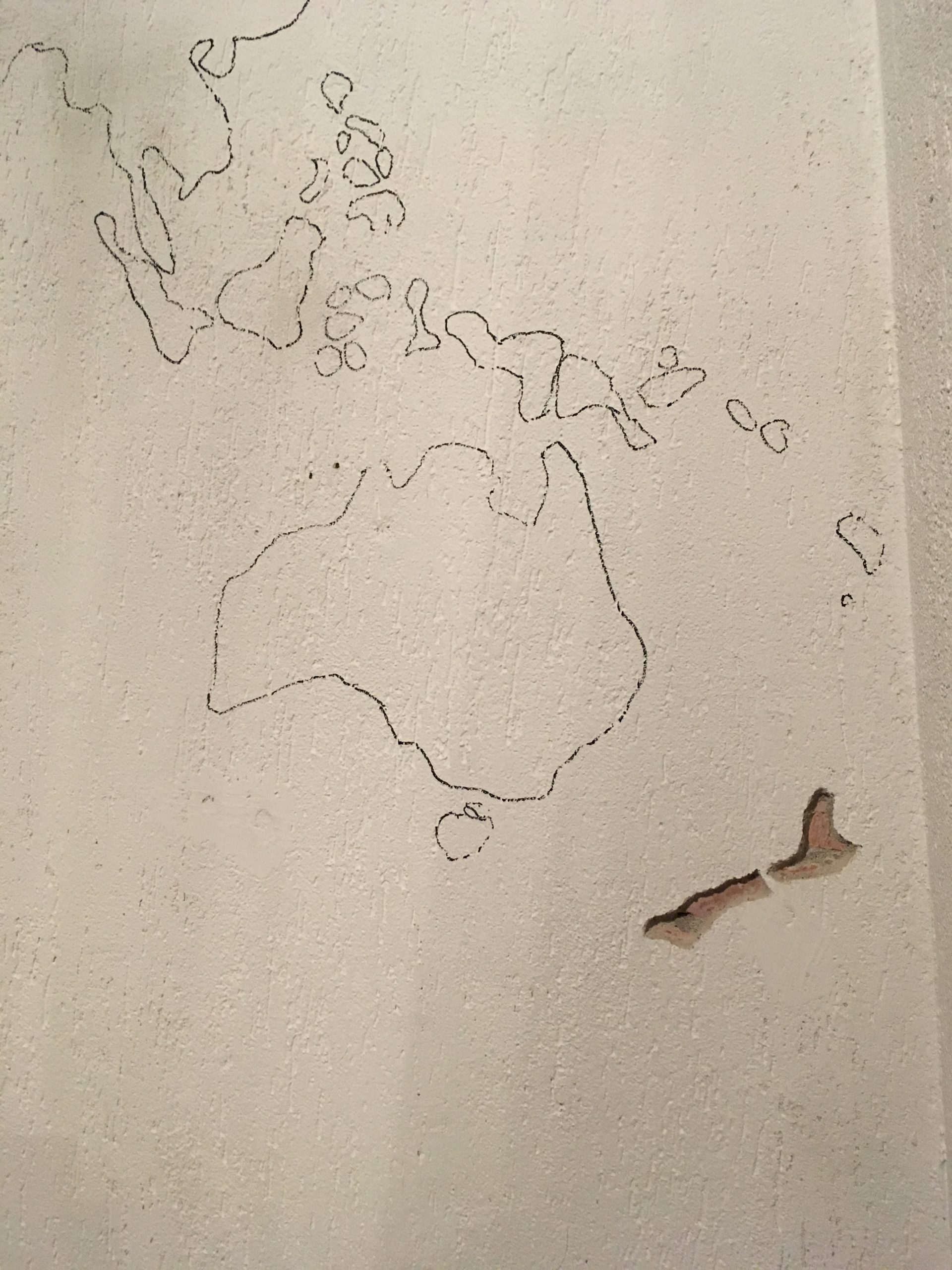 started with New-Zealand